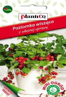 PLANTICO насіння рослин насіння овочів насіння квітів